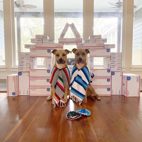 about me β’ queen b rocks! πππ - Picture 12 of 13